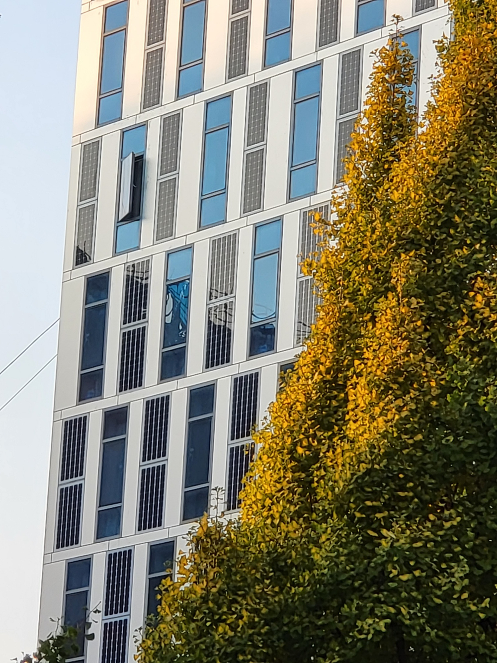 자료사진 적합 (2).jpg